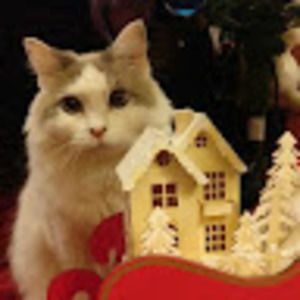 Meet your Posher, June